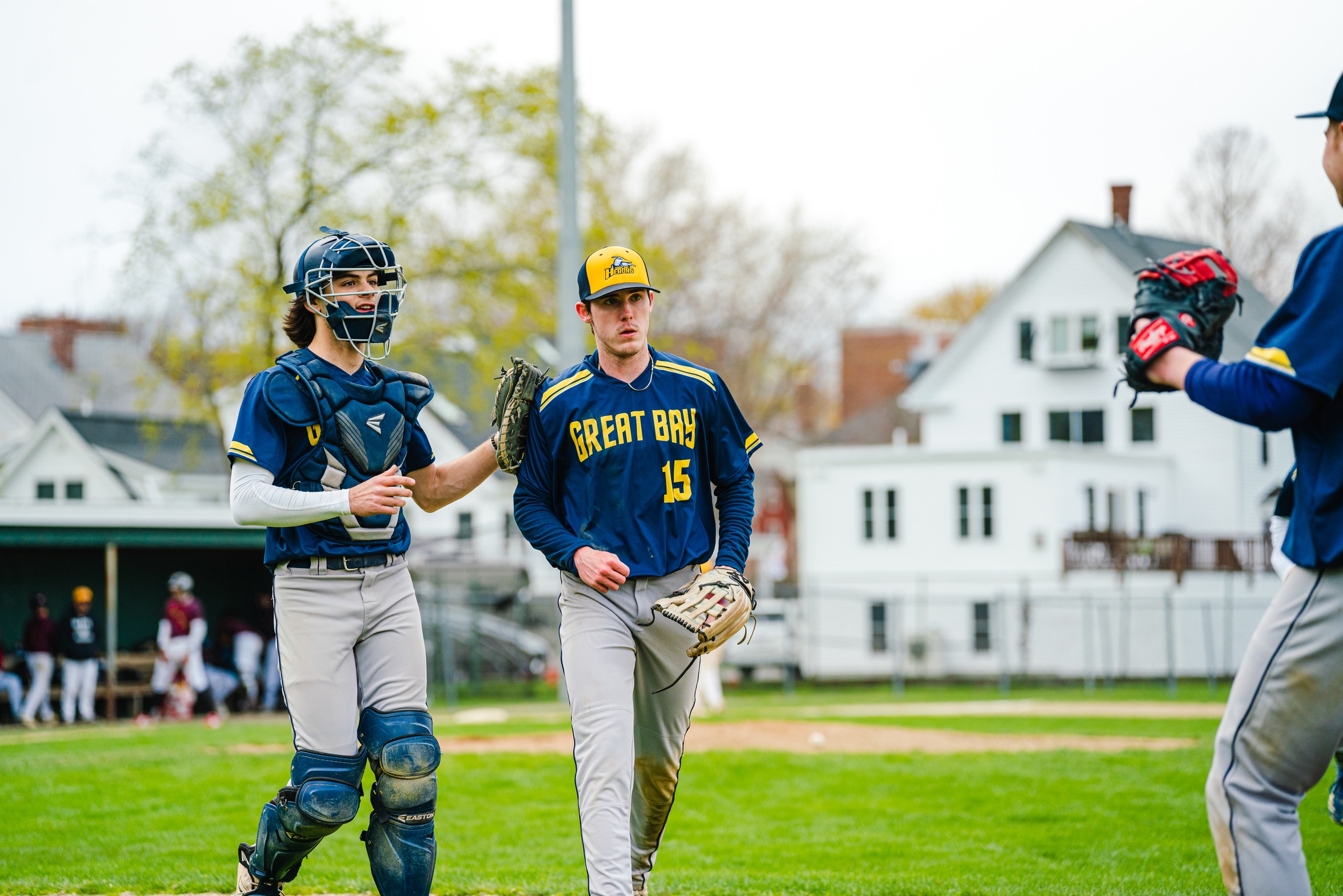 Herons Baseball splits weekend games with NHTI