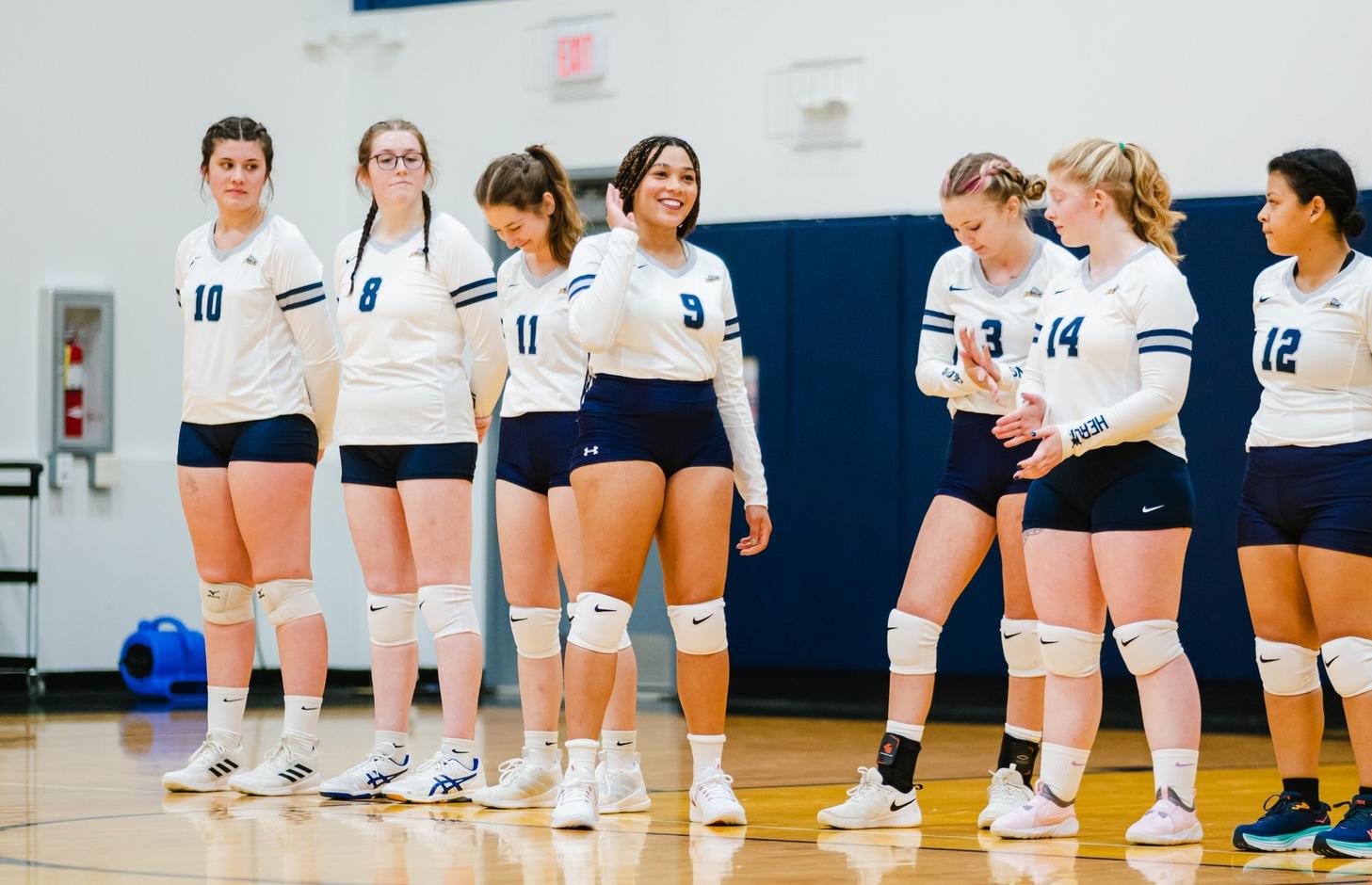 Herons Fall in first two matches
